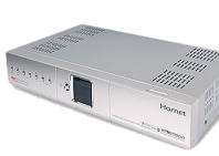 Hornet XSF - 500 ANV